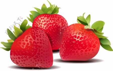 红色实物草莓元素
