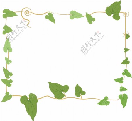手绘清新绿色叶子藤蔓植物边框