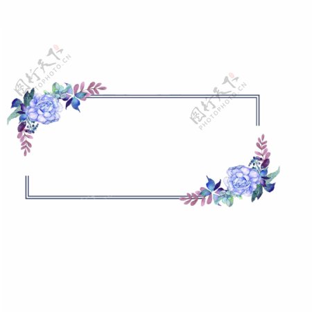 边框手绘植物边框植物花卉边框
