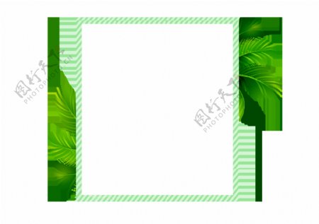 绿色植物边框设计元素