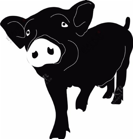 2019年猪年动物简笔画手绘简约可商用元素