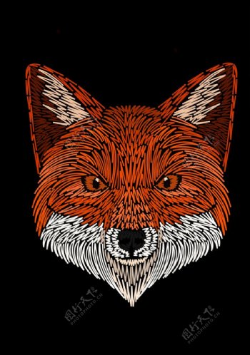 手绘线描狐狸刺绣