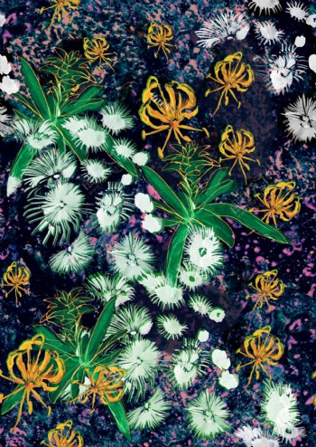 手绘植物花朵花卉底纹素材下载