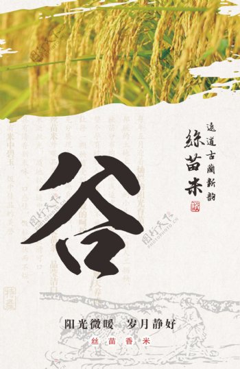 大米粮食中国风海报