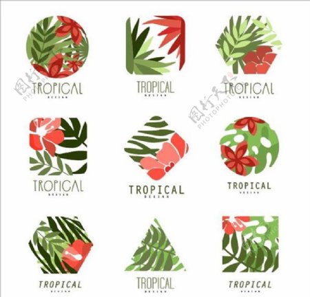 热带绿色植物标志