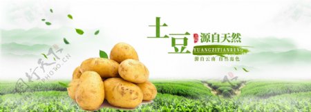 云南土豆淘宝海报