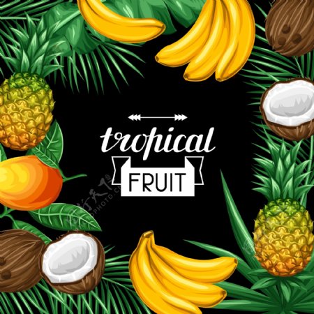 彩绘热带水果框架设计矢量素材.