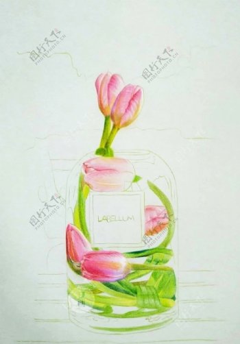彩铅写实绘画郁金香玻璃瓶