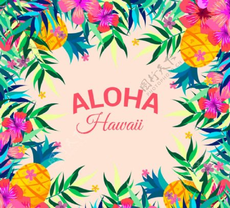 彩绘夏威夷花草水果框架