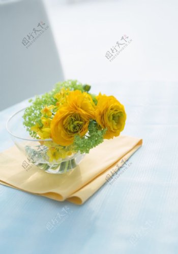黄色的鲜花