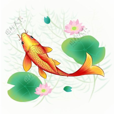 商用新年荷花红色锦鲤新春鲤鱼贴图装饰图案