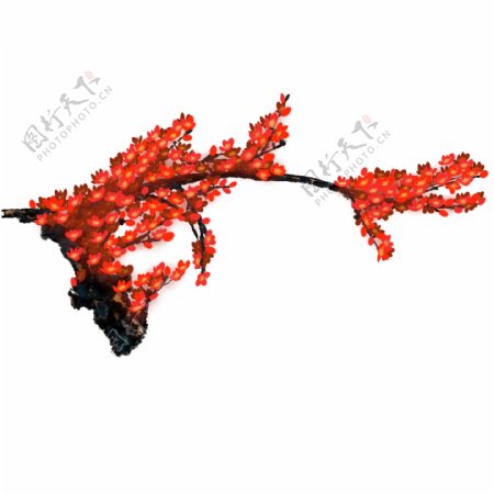 中国风手绘花卉PS分层插画梅花素材