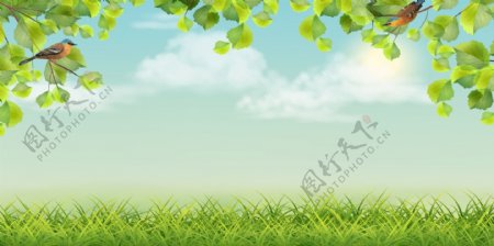 蓝天白云风景草地绿色树叶背景素材