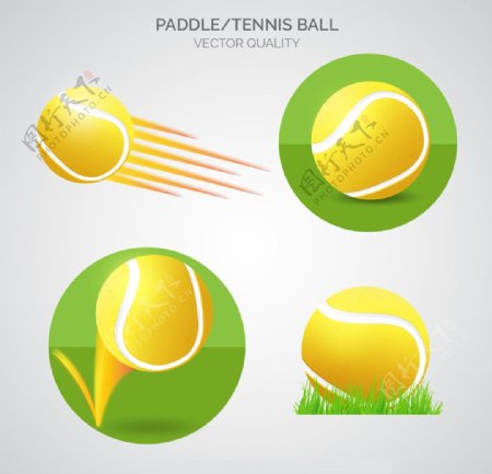 网球插图