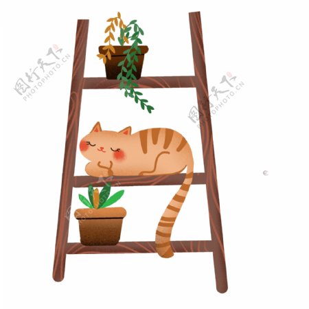 彩绘梯子的猫和盆栽