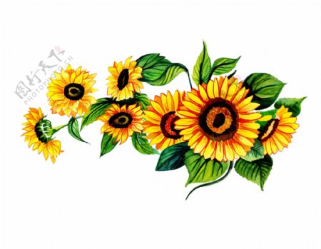 卡通向日葵花朵元素