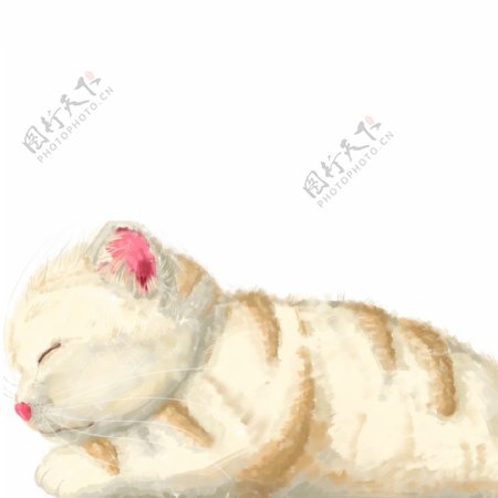 手绘一只趴着的温暖肥猫