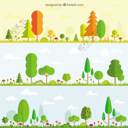 季节性树木插图