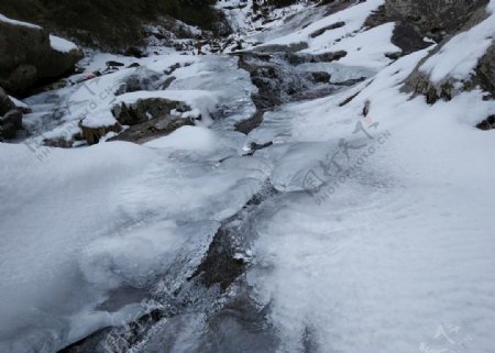 保护区冬季结冰的溪流