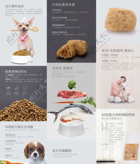 宠物食品详情页