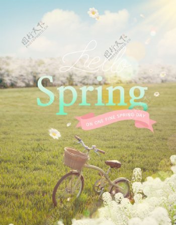 春天气息鲜花海报