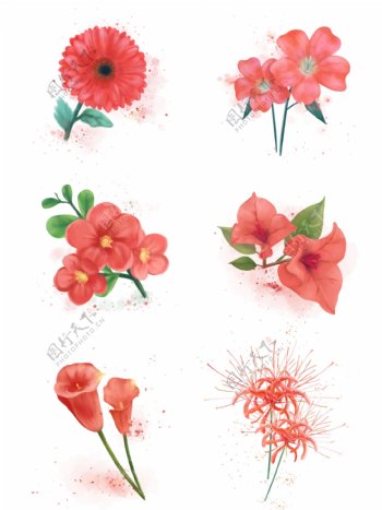 2019年流行色珊瑚红花朵水彩花卉手绘花