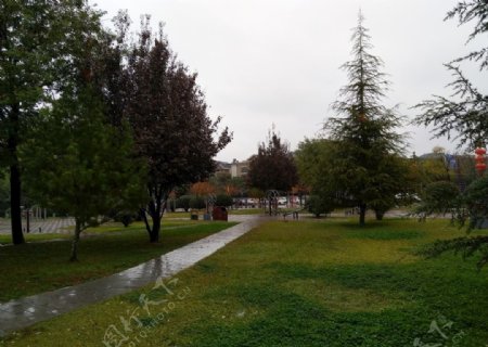 雨天的公园美景
