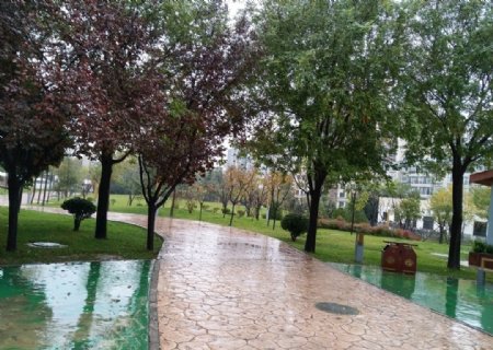 雨天的公园风景