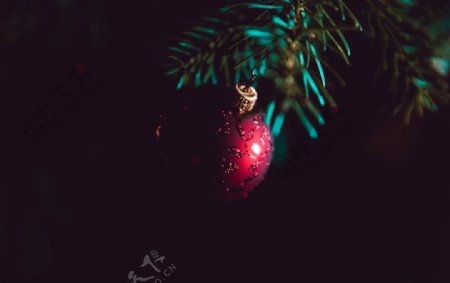 黑夜圣诞树背景