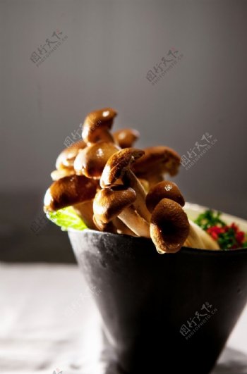 火锅菌类蘑菇