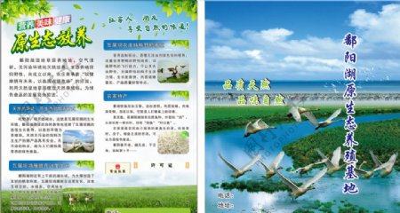 鄱阳湖原生态养殖基地