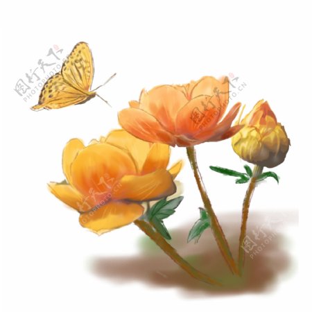 原创手绘黄色花朵花束蝴蝶可商用设计元素