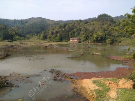 农村水池草地