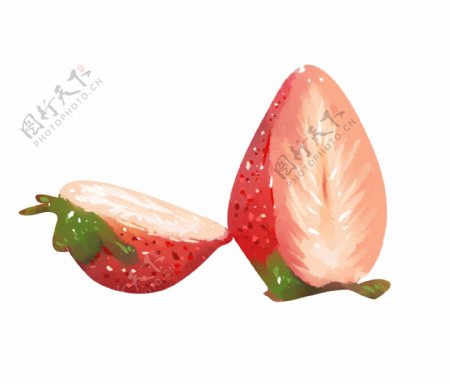 果肉草莓手绘插画