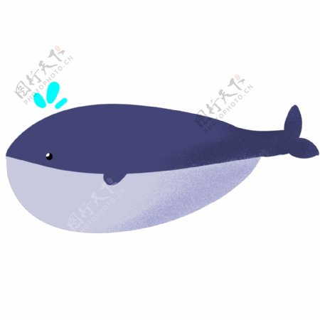 深蓝色喷口水鲸鱼插画