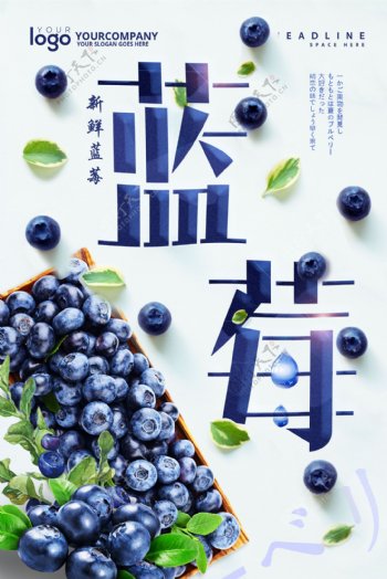 天然蓝莓创意海报.psd