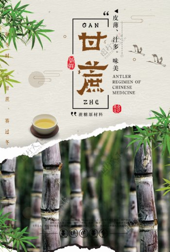 中国古典风养生甘蔗美食美味海报