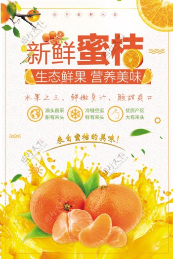 美味蜜桔水果促销海报