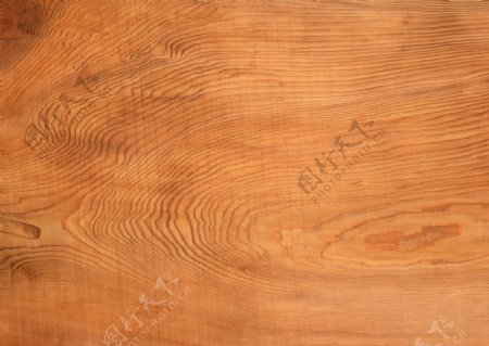 木纹图片树木年轮木纹路
