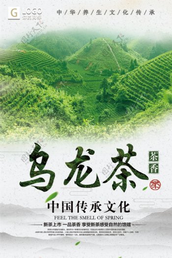 中国风时尚大气乌龙茶创意宣传海报设计