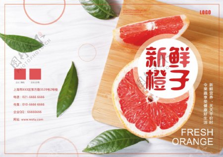 新鲜橙子画册封面设计