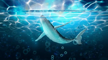 大海与鲸唯美治愈系鲸鱼海洋插画