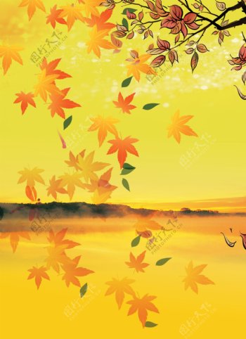 秋季枫叶飘落黄色背景