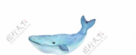 卡通蓝鲸水彩矢量素材