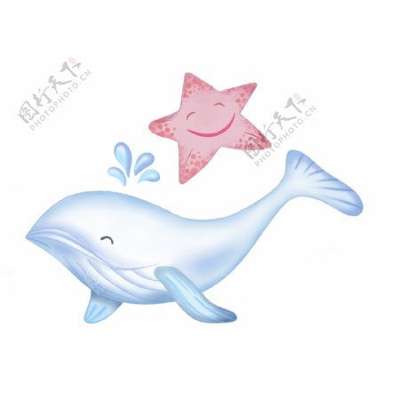 海星海豚动物海底世界可商用