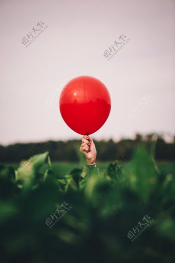 拿气球的手