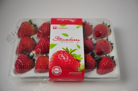 12枚草莓包装