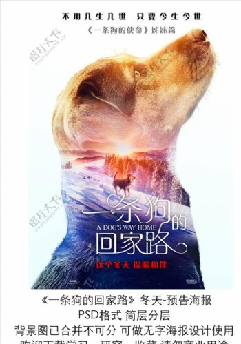 电影一条狗的回家路冬季预告海报