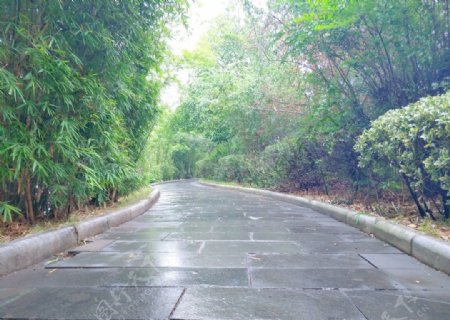 雨中步道