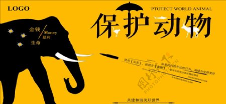 黄黑色保护动物公益海报